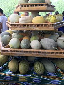 新疆吃瓜网红,瓜田里的美食探险家